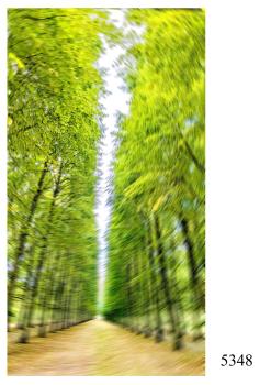 Motivhintergrund 5348