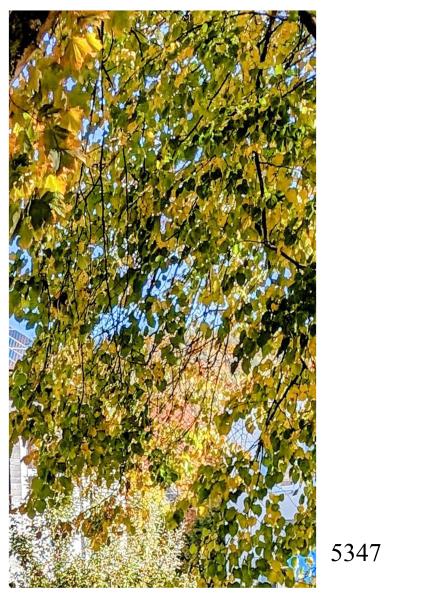 Motivhintergrund 5347